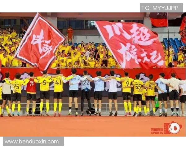 成都足球队配合引发热议球迷与专家各执己见的背后故事