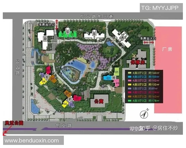 深圳网球队实力解析：从青训到职业选手的全景展现